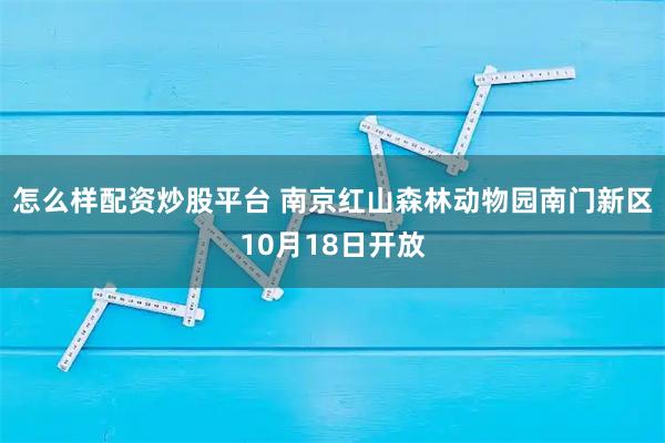 怎么样配资炒股平台 南京红山森林动物园南门新区10月18日开放