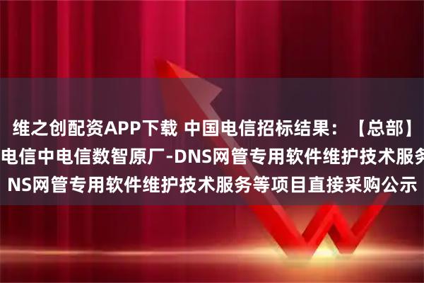 维之创配资APP下载 中国电信招标结果：【总部】2025-2026年度中国电信中电信数智原厂-DNS网管专用软件维护技术服务等项目直接采购公示